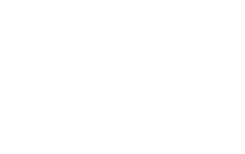 S-point-autoscan