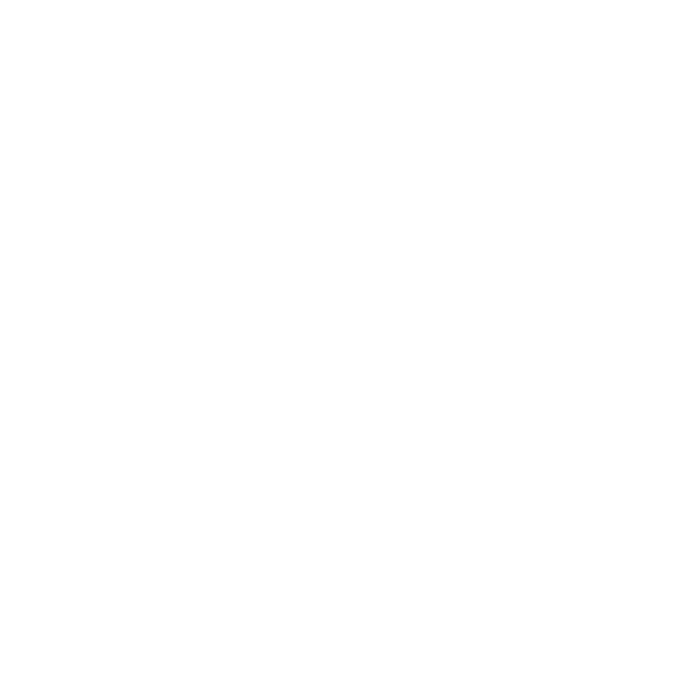 S-point-autoscan